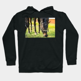 Sam at home Hoodie